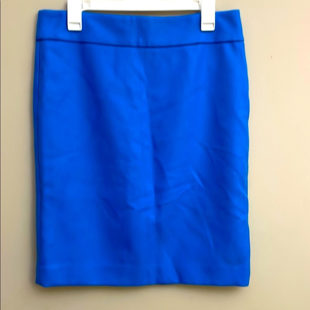 J.Crew 100% Wood Women's Skirt Size 10